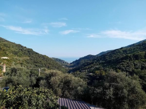 La casetta dei 4 gatti Ventimiglia